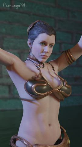 Princess Leia Organa the Belly Dancer (Pornunga34)