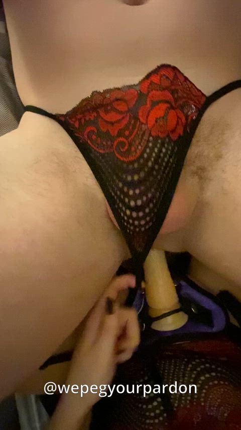 anal crossdressing femboy femdom lingerie pegging sissy strap on thong wepegyourpardon