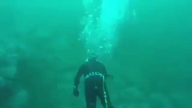 Just one more reason to stay out of the water