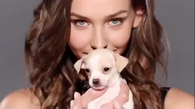 Rachel Cook for National Puppy Day