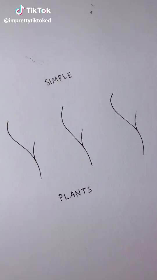 Simple plants? #drawing #tutorial #doodle #plants #nature