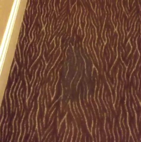Friend recorded her peeing in hotel hallway