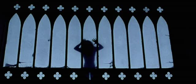 Messiah-of-Evil-1973-GIF-00-47-36-silhouette