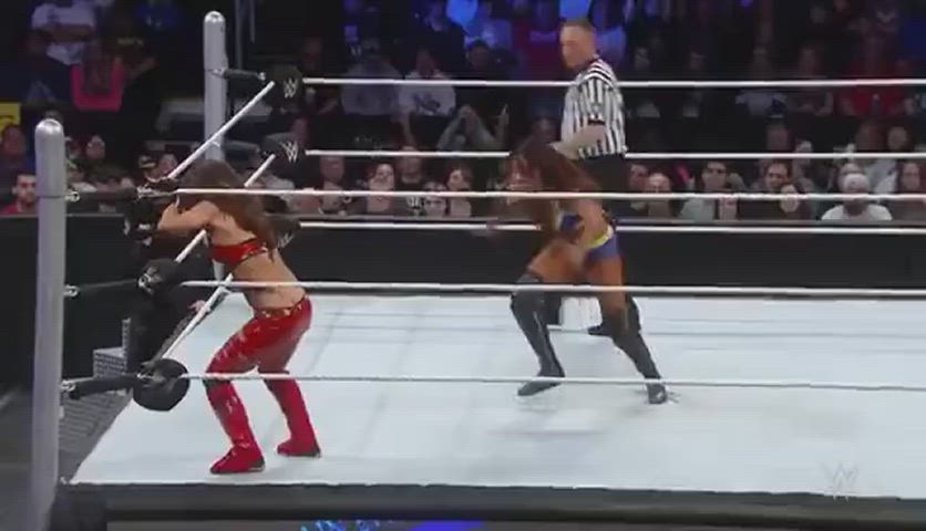 Alicia Fox vs Brie Bella